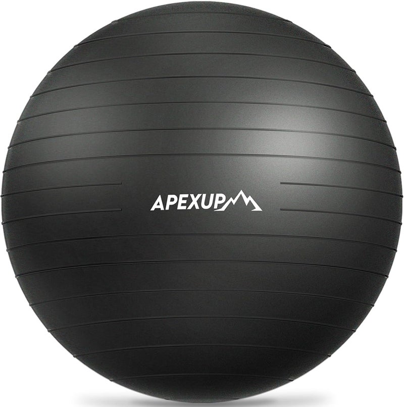 APEXUP Yoga Ball Exercise Ball Anti Slip Heavy Duty for Fitness, Balance & Core Workout - Image 1